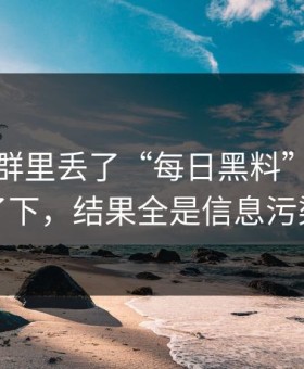 有人在群里丢了“每日黑料”，我顺手查了下，结果全是信息污染套路