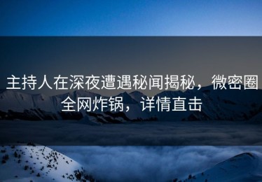 主持人在深夜遭遇秘闻揭秘，微密圈全网炸锅，详情直击