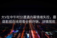 大V在中午时分遭遇内幕情绪失控，蘑菇影视在线观看全网炸锅，详情围观