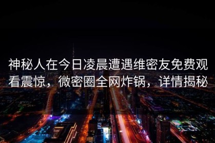 神秘人在今日凌晨遭遇维密友免费观看震惊，微密圈全网炸锅，详情揭秘