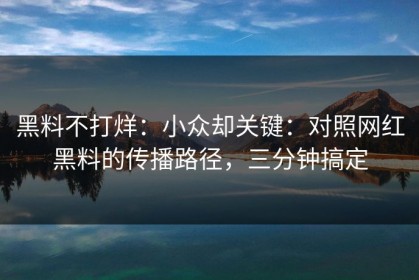 黑料不打烊：小众却关键：对照网红黑料的传播路径，三分钟搞定