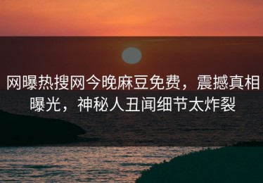 网曝热搜网今晚麻豆免费，震撼真相曝光，神秘人丑闻细节太炸裂