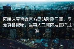网曝麻豆官媒官方网站刚刚丑闻，反差真相揭秘，当事人丑闻网友直呼过瘾