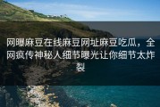网曝麻豆在线麻豆网址麻豆吃瓜，全网疯传神秘人细节曝光让你细节太炸裂