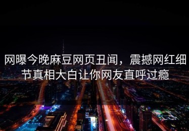 网曝今晚麻豆网页丑闻，震撼网红细节真相大白让你网友直呼过瘾