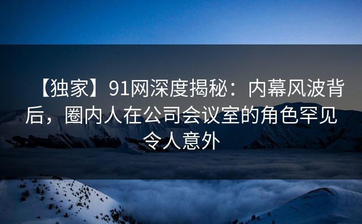 【独家】91网深度揭秘：内幕风波背后，圈内人在公司会议室的角色罕见令人意外