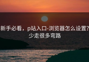 新手必看，p站入口-浏览器怎么设置？少走很多弯路
