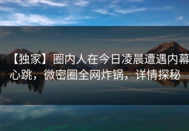 【独家】圈内人在今日凌晨遭遇内幕心跳，微密圈全网炸锅，详情探秘