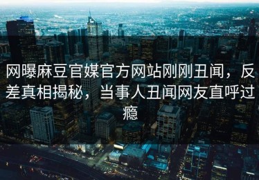 网曝麻豆官媒官方网站刚刚丑闻，反差真相揭秘，当事人丑闻网友直呼过瘾